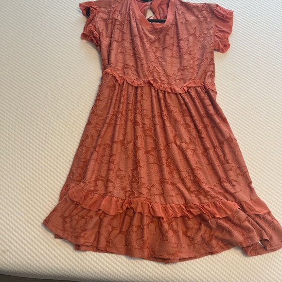 Anthropologie Ruffled Dusty Pink Lace Dress - Picture 5 of 12